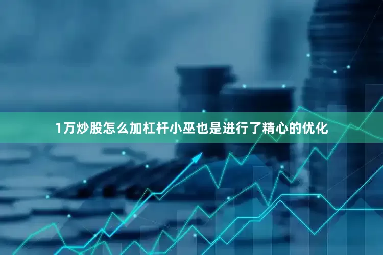 1万炒股怎么加杠杆小巫也是进行了精心的优化