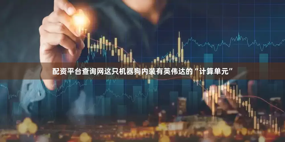 配资平台查询网这只机器狗内装有英伟达的“计算单元”