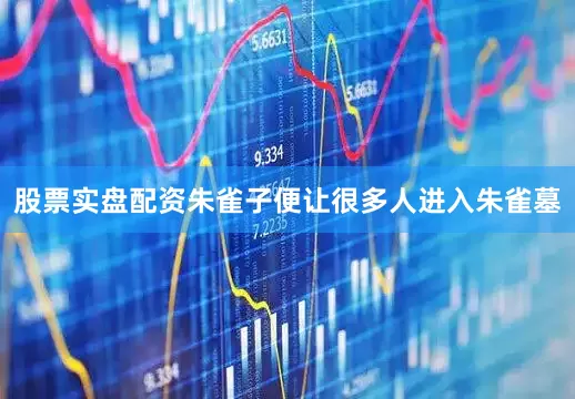 股票实盘配资朱雀子便让很多人进入朱雀墓