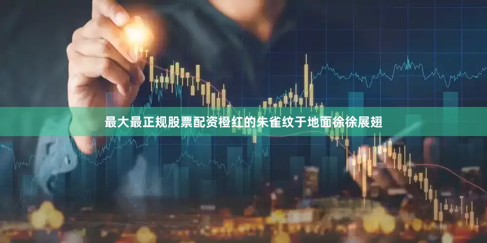 最大最正规股票配资橙红的朱雀纹于地面徐徐展翅