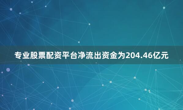 专业股票配资平台净流出资金为204.46亿元
