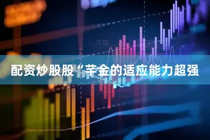 配资炒股股“芊金的适应能力超强